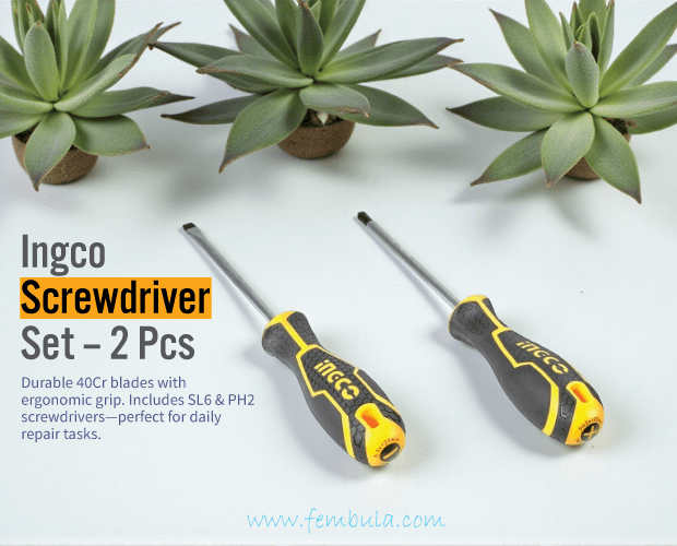 Ingco 2-in-1 Interchangeable Screwdriver Set | PH1 & SL5 | Cr-V Steel | Model AKISD0203