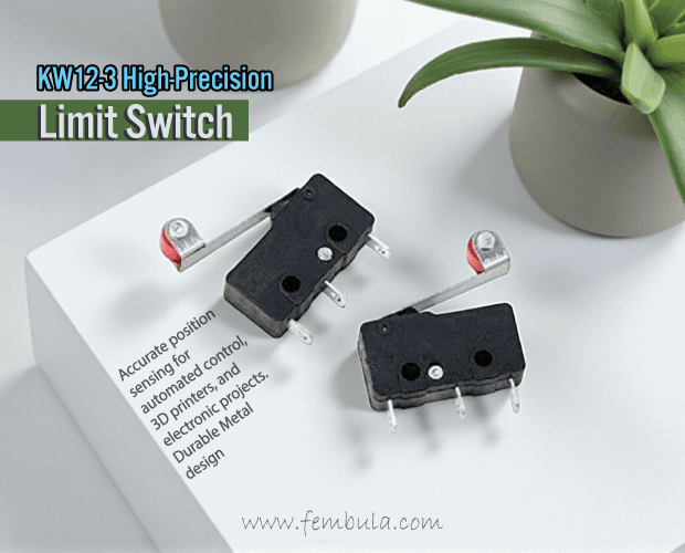 DIKAVS KW12-3 Micro Roller Lever Arm Limit Switch