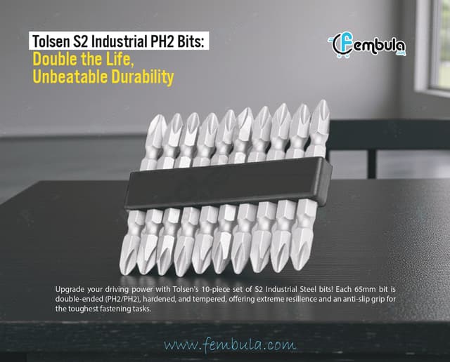 Tolsen Industrial S2 Steel Double-Ended Screwdriver Bits Set | PH2/PH2 | 10 Pcs | Model 20360